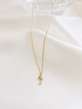 Load image into Gallery viewer, Seahorse Necklace