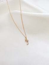 Load image into Gallery viewer, Seahorse Necklace