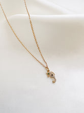 Load image into Gallery viewer, Seahorse Necklace
